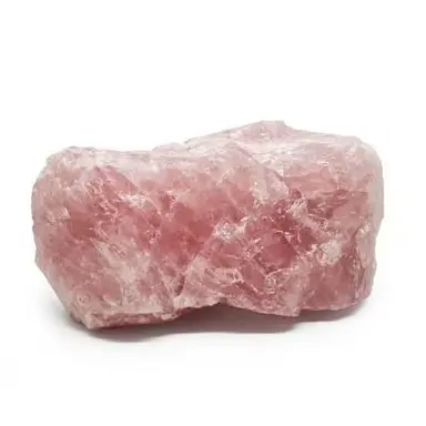 Profile image of Steven