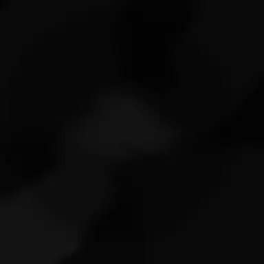 Profile image of 한동민