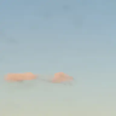 Profile image of Liese