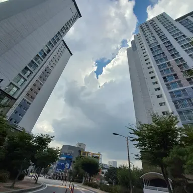 Profile image of 블라썸과 체리