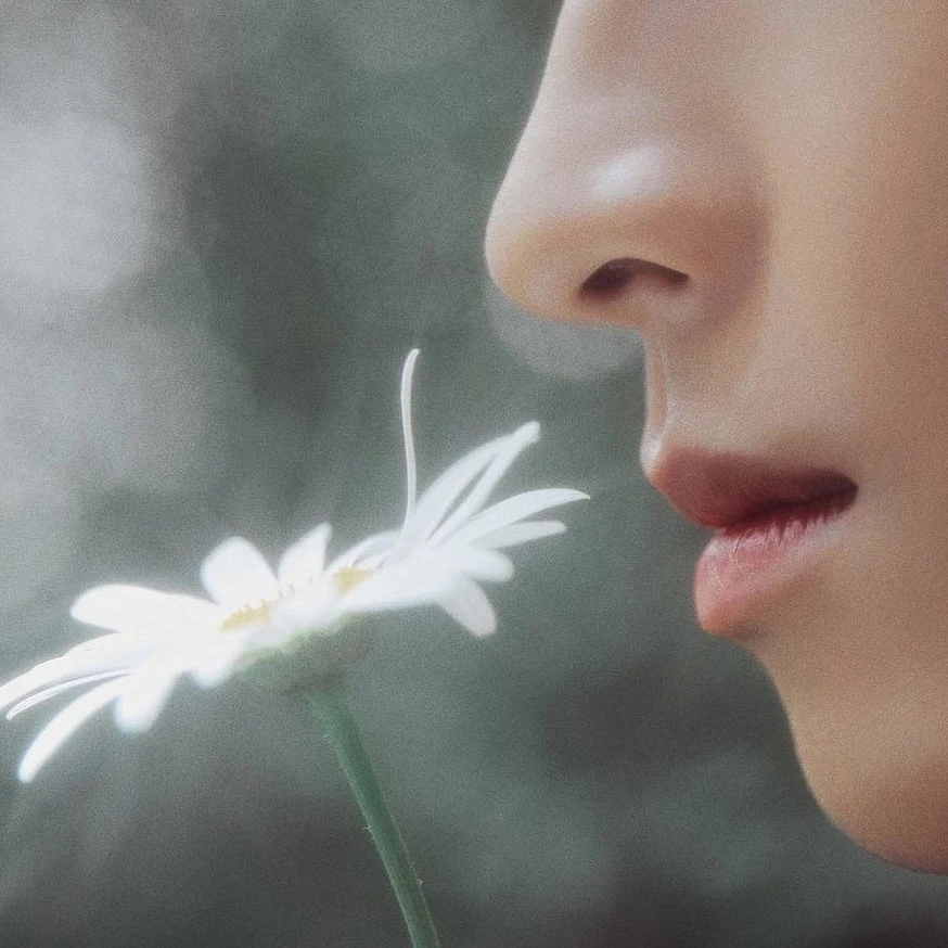 전원우