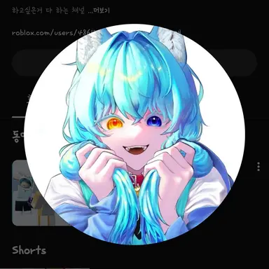 Profile image of 료미