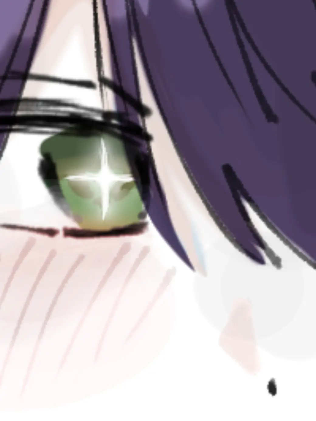 Shirasu4654의 完全完璧主義者