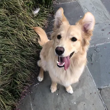 Profile image of 겨울이