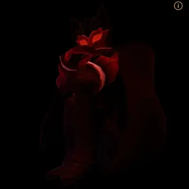 Profile image of 노스페라두스