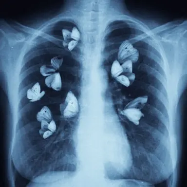 Profile image of 파이브