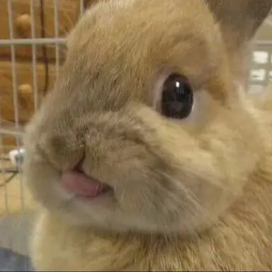 Profile image of 리쿠