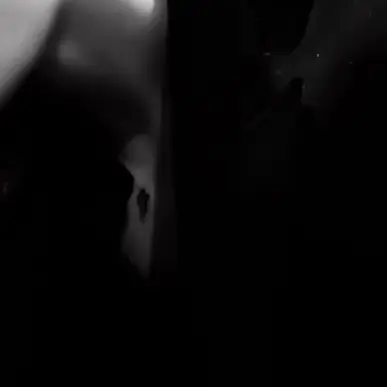 surbak의 그런 밤