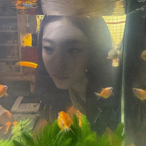 강해린