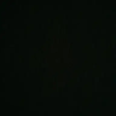 Profile image of 현삔