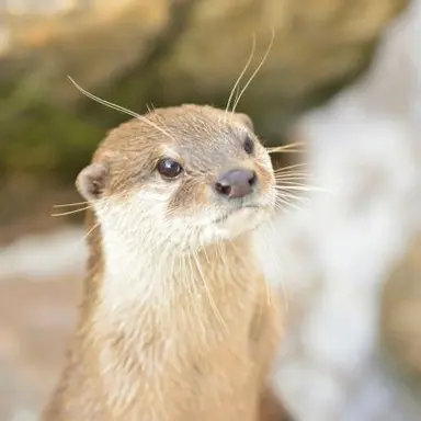 Profile image of サンヒョク
