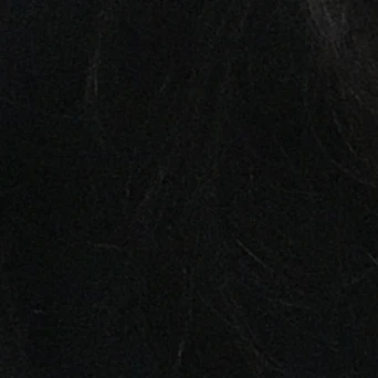 정온
