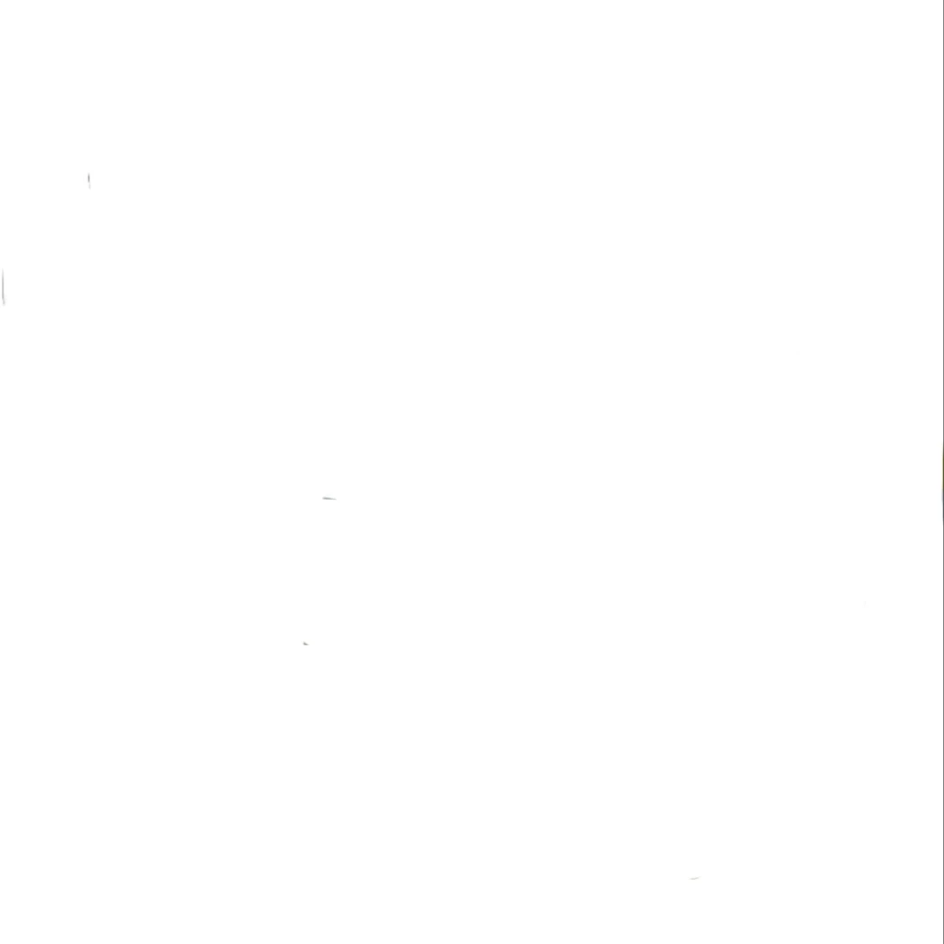 스토커 이재현