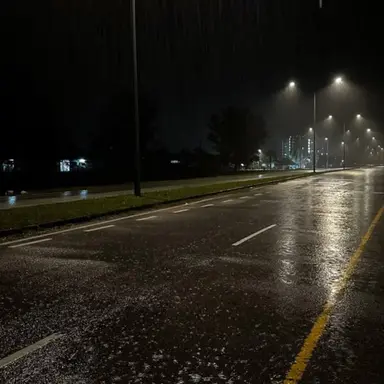 Profile image of 서성은