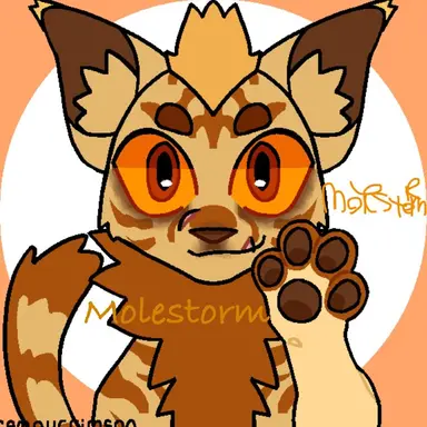 Profile image of Molestorm