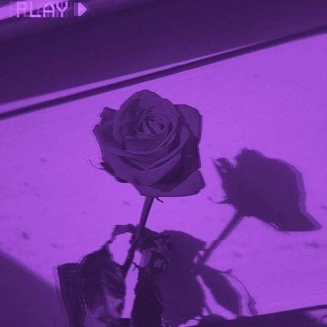 수현