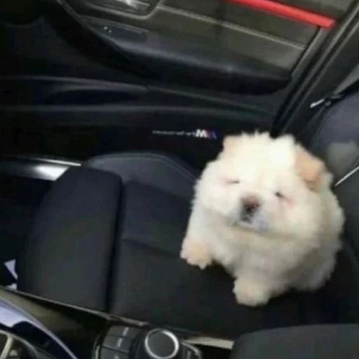 이로민