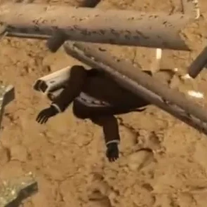 브라운카메라맨