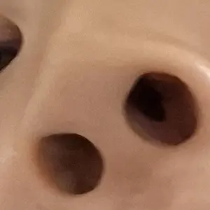 Profile image of 솧툌춋