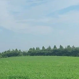 뿌슨간