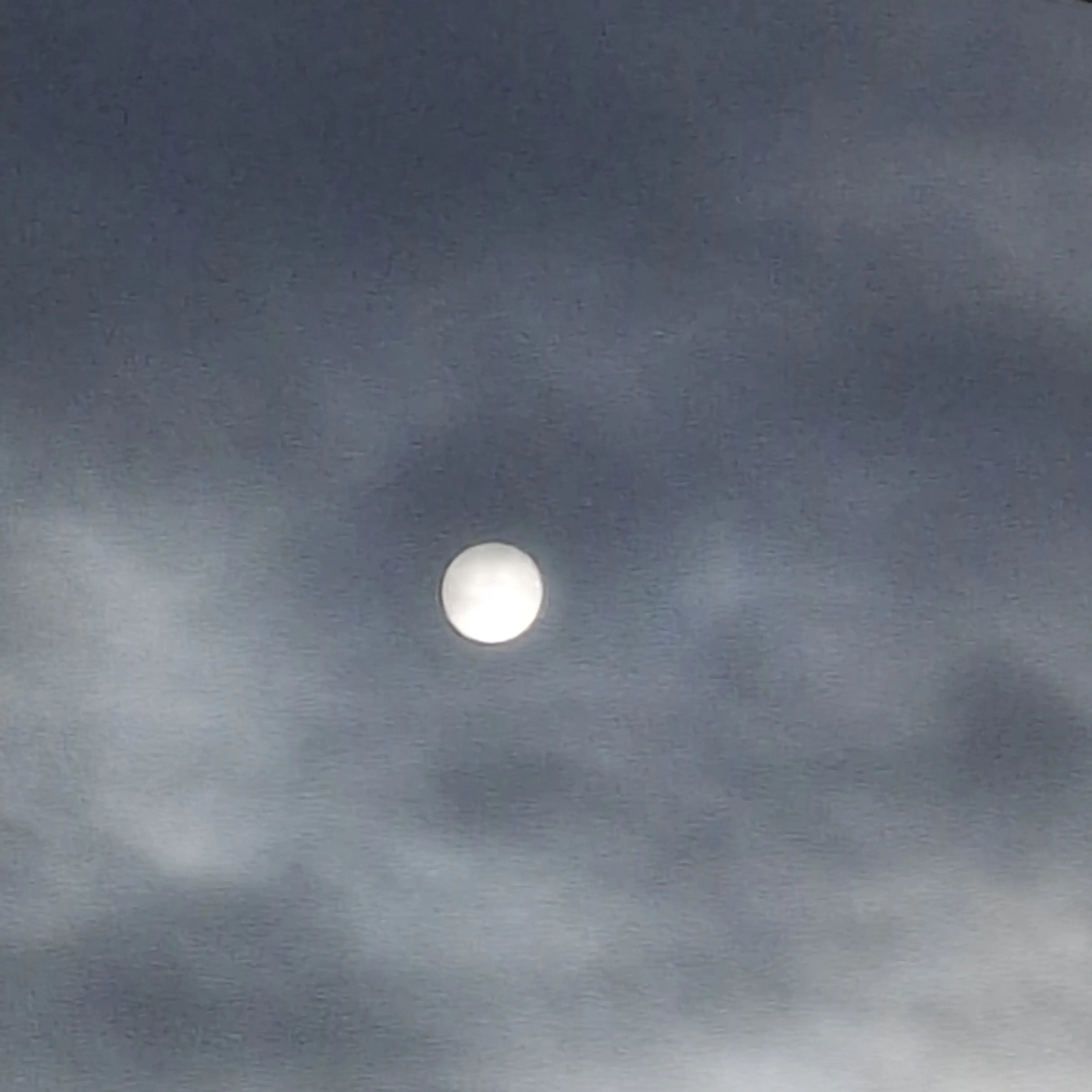 FoulScarf8652의 (N☆T CUTE한 선배들)