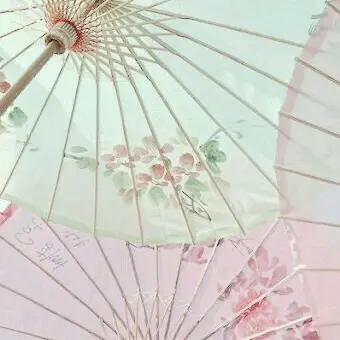 Profile image of 사비토