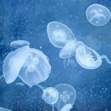 Profile image of 타코