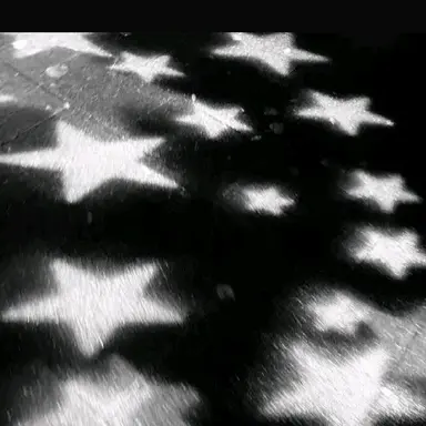 Profile image of 이핑구