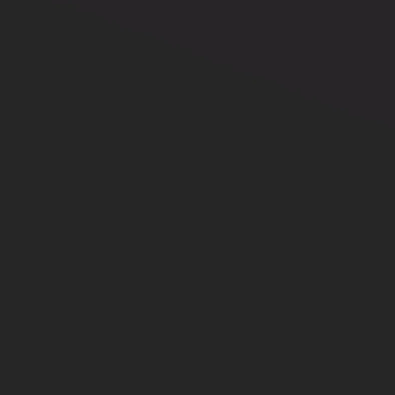 17 - 보디가드s