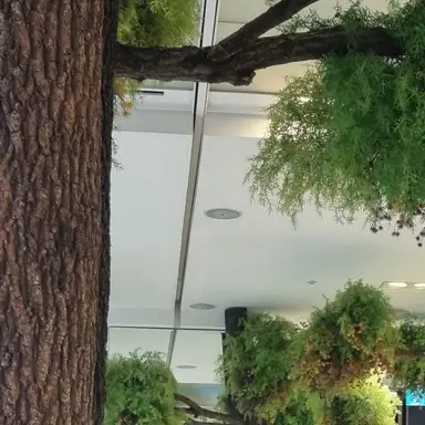 Profile image of 토키토무이치로