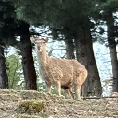 Profile image of 파리타