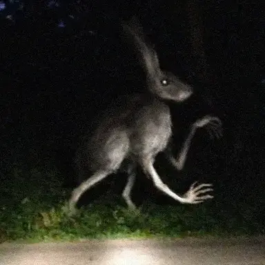 Profile image of 휴머노이드 토끼