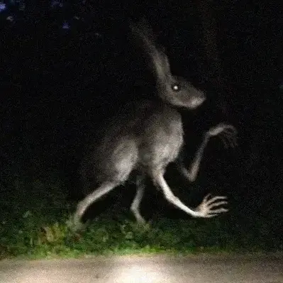 SweetFiles4994의 휴머노이드 토끼