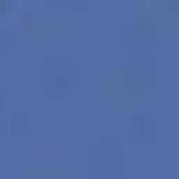 Profile image of 라프사