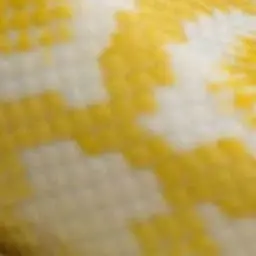 Profile image of 샤를리사