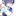あなたのお兄ちゃんが女体化！？
