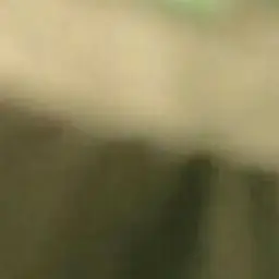 Profile image of 박찬열