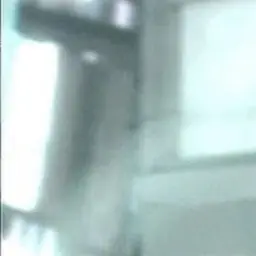 Profile image of 변백현