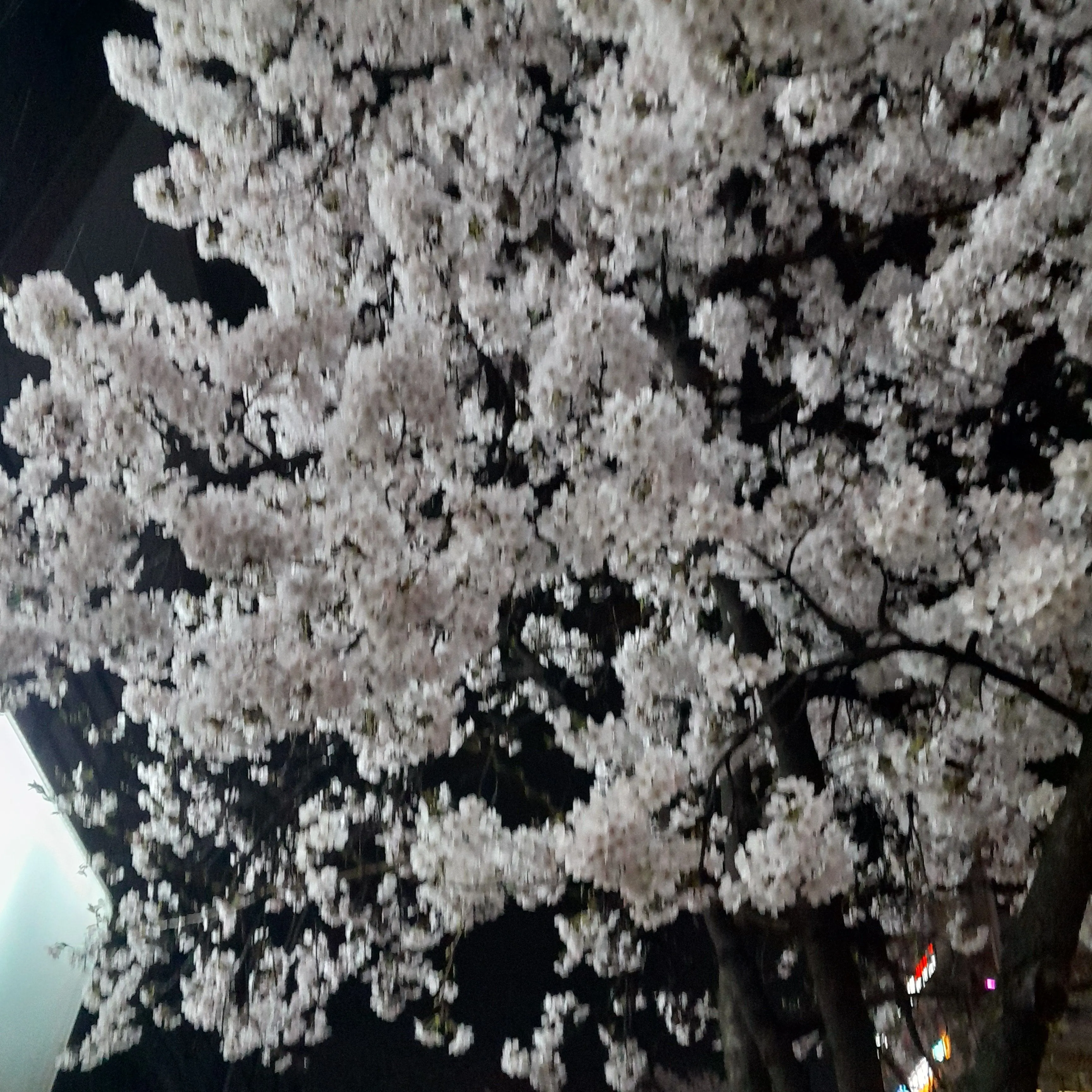 EowkqEmf의 메복입은 잠경위님(?????)