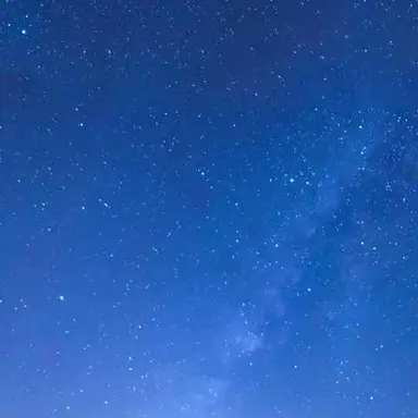 Profile image of 자유
