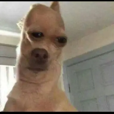 Profile image of みんなぁ