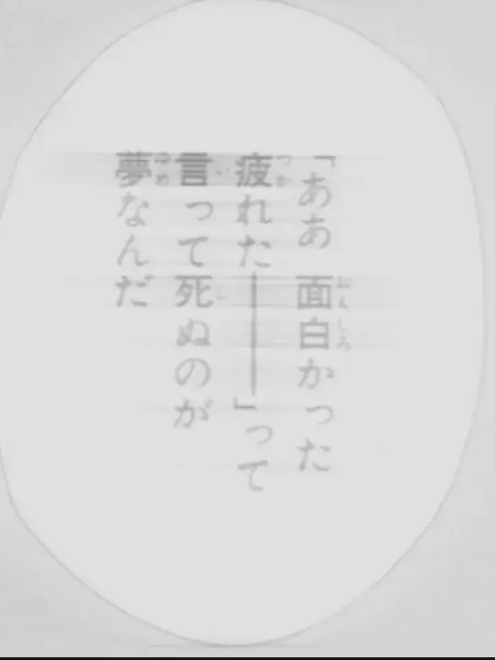 ler_mtor의 飽 和 す る 夏  ☀︎