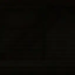 Profile image of Sレイマリ