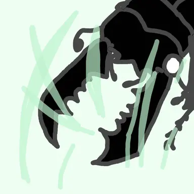 Profile image of 넓적사슴벌레