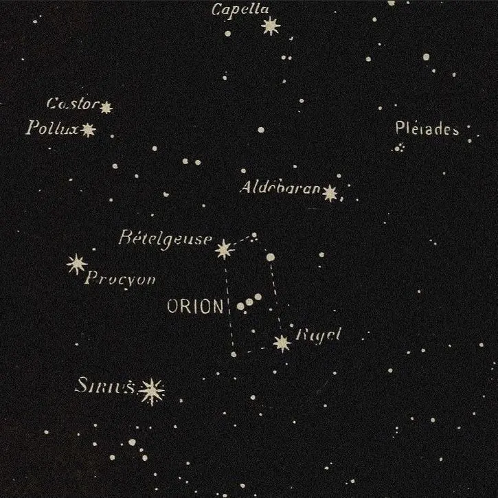 Justrustmeyoullbefine의 Regulus Black