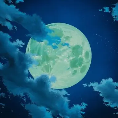 Profile image of 빨간 줄