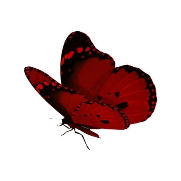 기생 대표 이미지