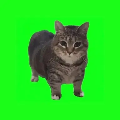 Profile image of Oiia