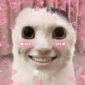 Profile image of goofy cat