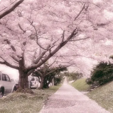 Profile image of 밥풀